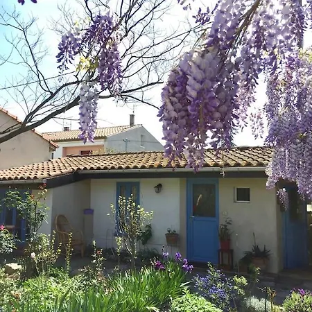 La Campagne Dans La