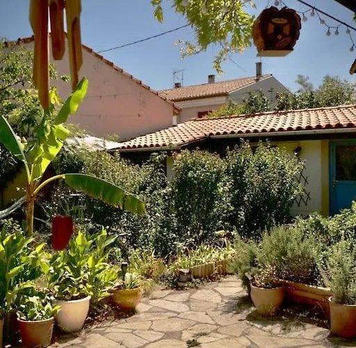 La Campagne Dans La Narbonne